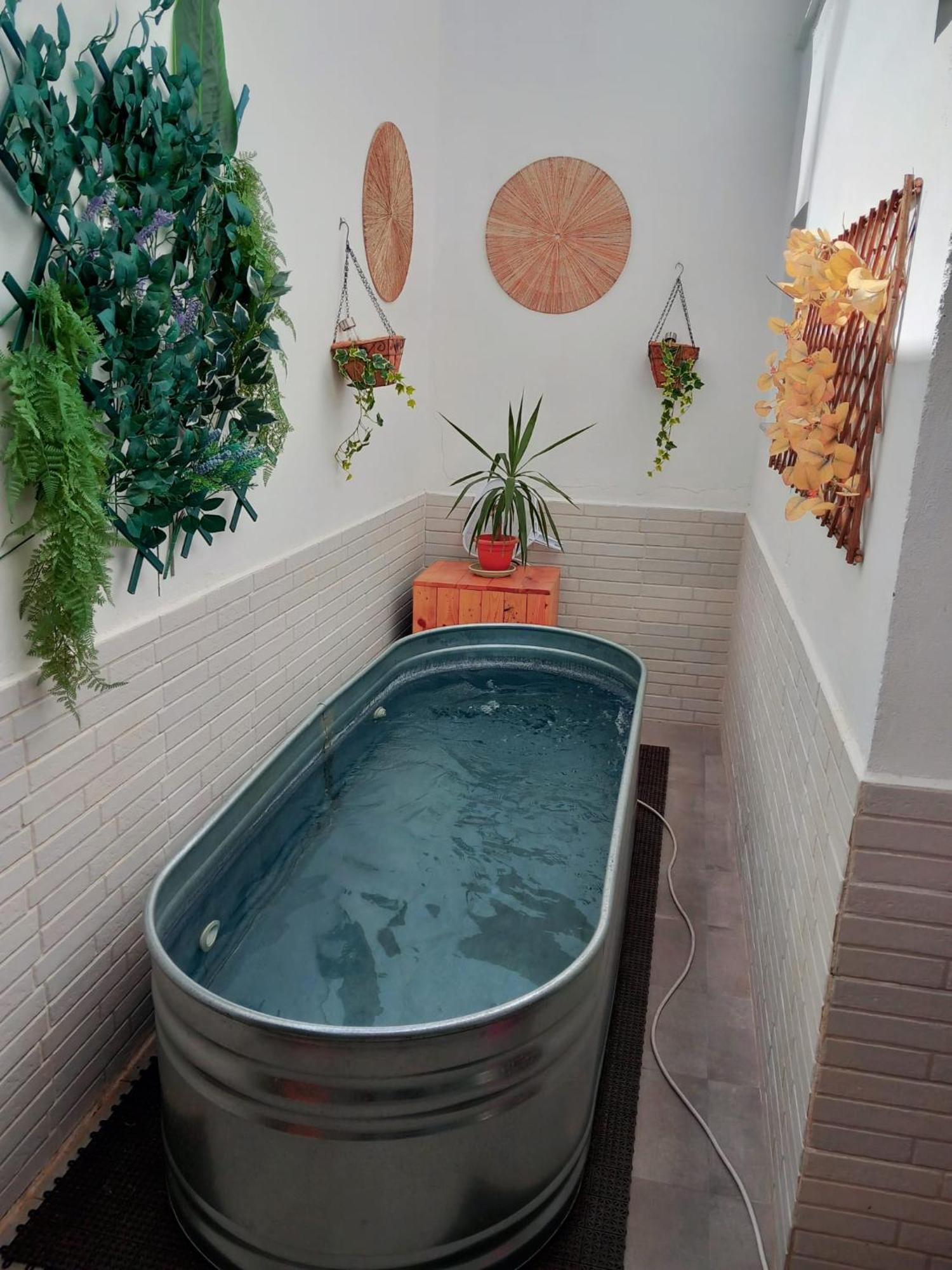 Apartamentos De La Haya & Suite Con Jacuzzi, Junto Al Teatro Romano Меріда Екстер'єр фото