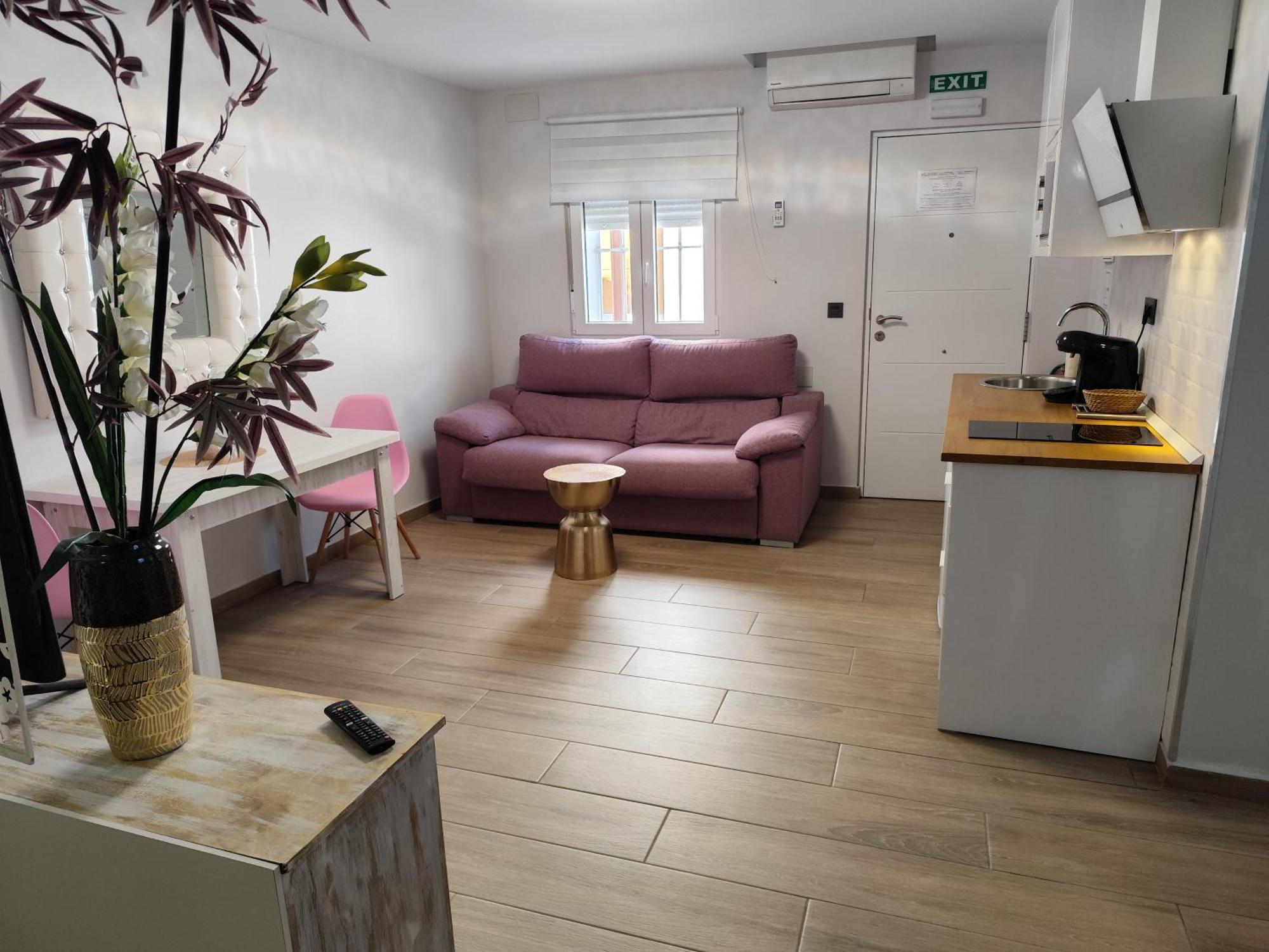 Apartamentos De La Haya & Suite Con Jacuzzi, Junto Al Teatro Romano Меріда Екстер'єр фото